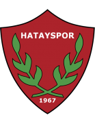 Home Team Logo