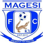 Home Team Logo