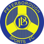 Home Team Logo