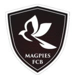 Away Team Logo