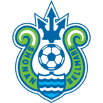 Home Team Logo