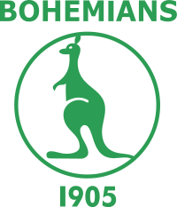 Home Team Logo