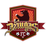 Home Team Logo