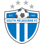 Home Team Logo