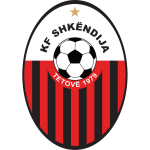 Home Team Logo