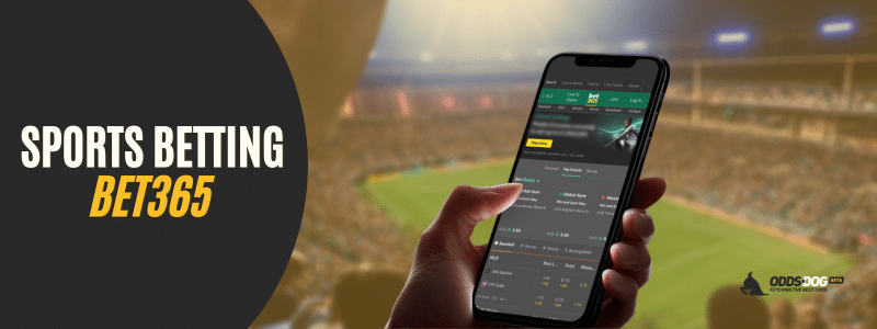 A person holding a smartphone displaying the Bet365 sports betting interface, with a live football match in the background. The image features the text “Sports Betting Bet365” alongside the Odds.dog logo.